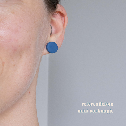 Autumn Blues - oorstekertjes mini 6 - brons